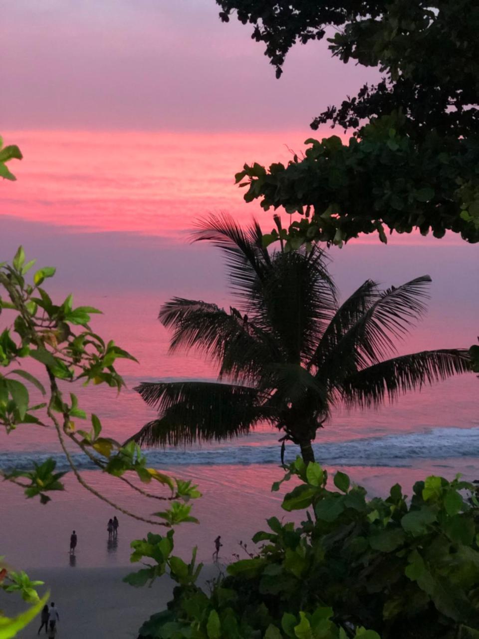 The Villa Varkala Esterno foto